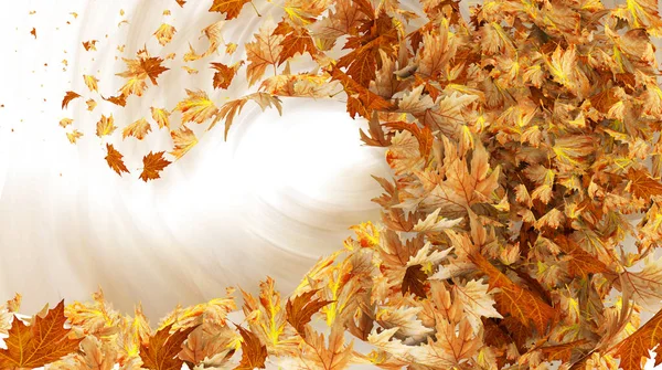 Autumn Leaves Leaf Wind Air Background Sea Wave — Stock Photo, Image