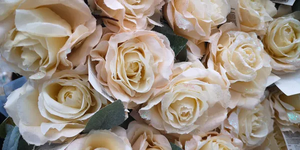Rosas Rosadas Pálidas Suaves Las Flores Decorativas Fondo Año Nuevo — Foto de Stock