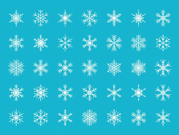 Vector Set Different Snowflakes Vector Illustration — Stock Vector