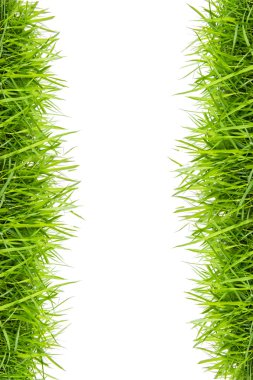 Beyaz arkaplanda yeşil çimen izole