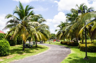 becket, Tayland, Hindistan cevizi bahçede yürüyüş yolu