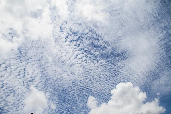 Błękitne niebo z chmurą zbliżenie — Zdjęcie stockowe