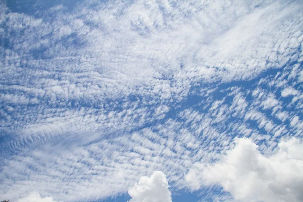 Cielo azul con primer plano de nubes — Foto de Stock