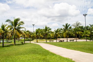 becket, Tayland, Hindistan cevizi bahçede yürüyüş yolu