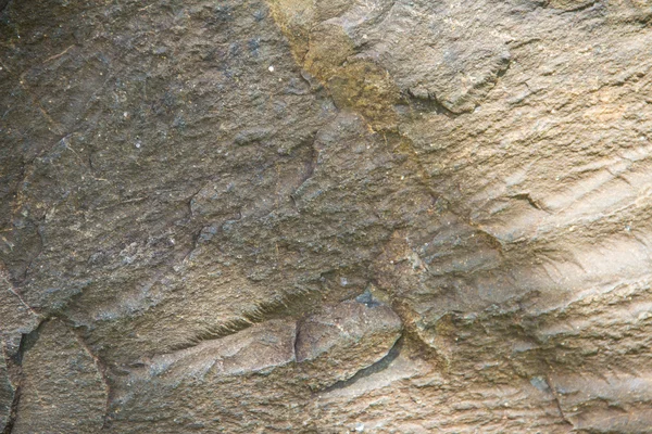 Stone dark brown background — Stock Photo, Image