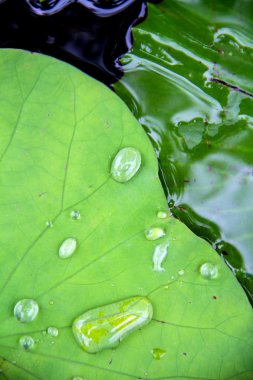 Su damlacıkları görünümü