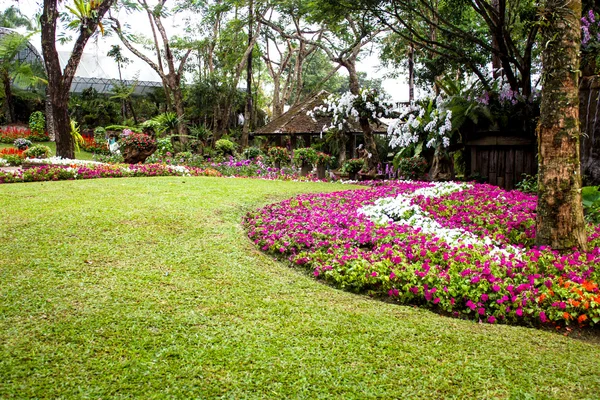 Jardin Mae Fah Luang, situé sur Doi Tung, province de Chiangrai, Thaïlande — Photo
