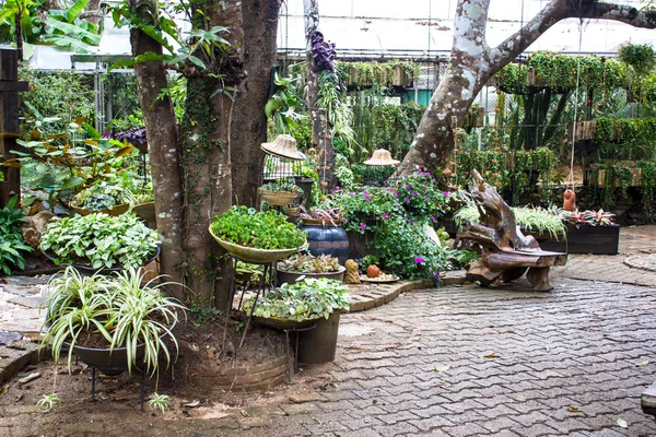 Jardín Mae Fah Luang, ubicado en Doi Tung, provincia de Chiangrai, Tailandia —  Fotos de Stock