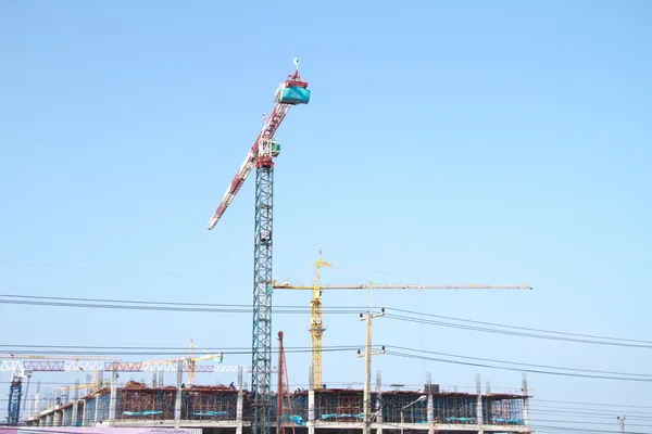 Crane — Stock Photo, Image