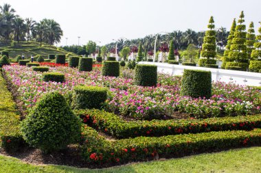 tropikal Bahçe Tay tarzı