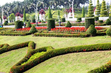tropikal Bahçe Tay tarzı