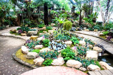 Mae Fah Luang Bahçe