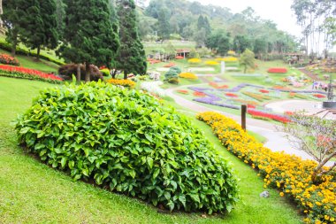 widok na ogród w stylu tajskim