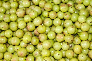 Indian Gooseberry.
