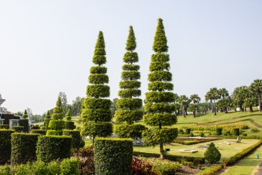 güzel bir tropik bahçe