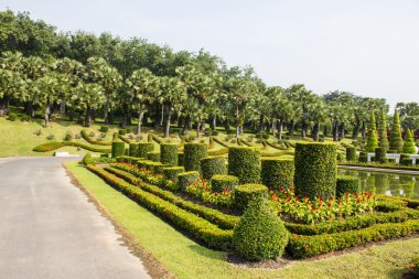güzel bir tropik bahçe