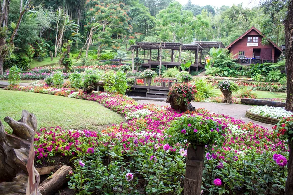 Mae Fah Luang Bahçe — Stok fotoğraf