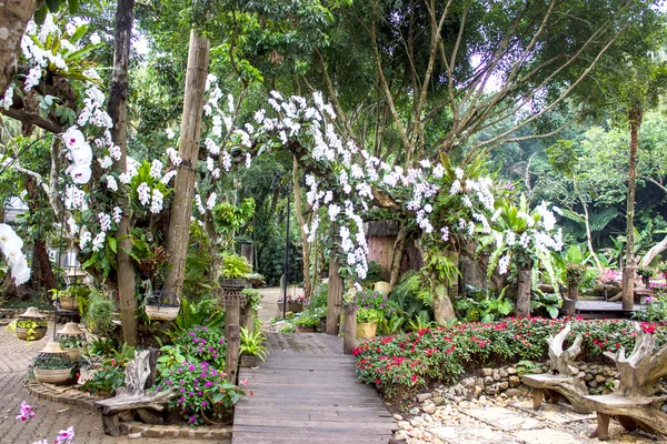 Mae Fah Luang Garden, localizado em Doi Tung, Província de Chiangrai, Tailândia — Fotografia de Stock