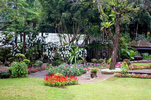 Mae Fah Luang Garden, localizado em Doi Tung, Província de Chiangrai, Tailândia — Fotografia de Stock