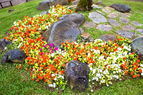 Mae fah luang Tuin, zoek op doi tung, Chiang Rai provincie, thailand — Stockfoto