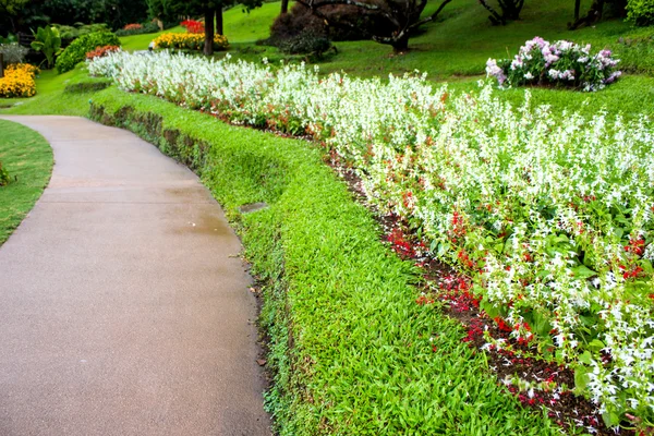 Mae fah luang garden, auf doi tung, chiangrai provinz, thailand — Stockfoto