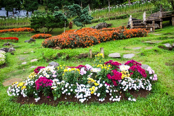 Mae Fah Luang Garden, localizado em Doi Tung, Província de Chiangrai, Tailândia — Fotografia de Stock