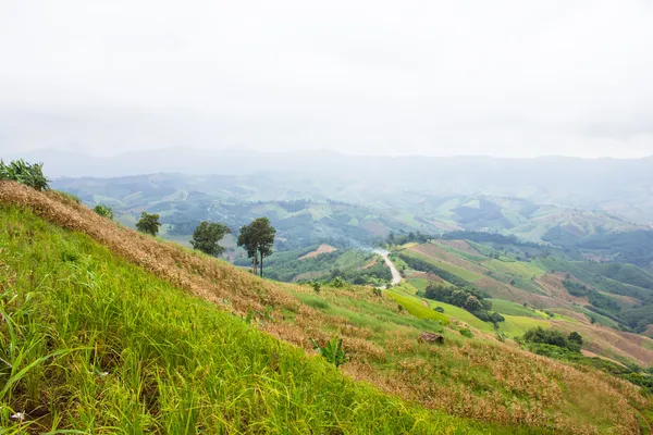 Fazenda de arroz na montanha, Norte, Tailândia . — Fotografia de Stock