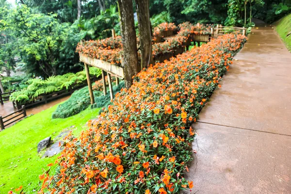 View of Thai style garden