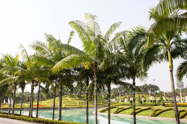 Jardim tropical, Tailândia — Fotografia de Stock