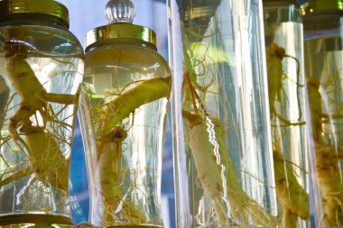 Ginseng kavanozlara korunmuş