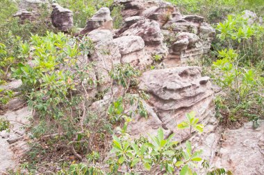 PA hin ngam Milli Parkı, Tayland