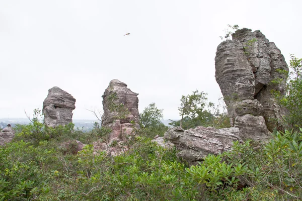 PA hin ngam Nationaalpark, thailand — Stockfoto