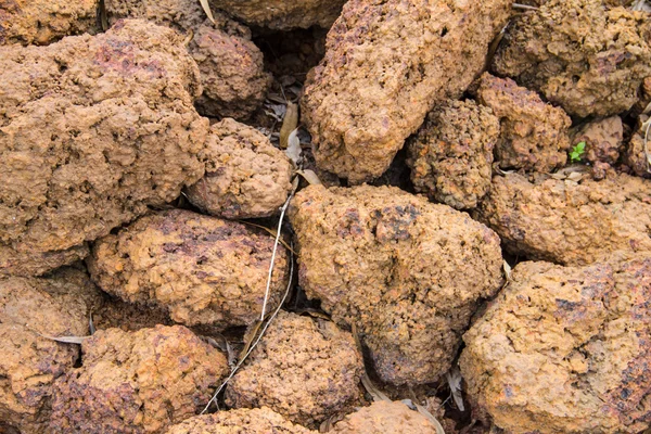 Fondo de piedra de laterita — Foto de Stock