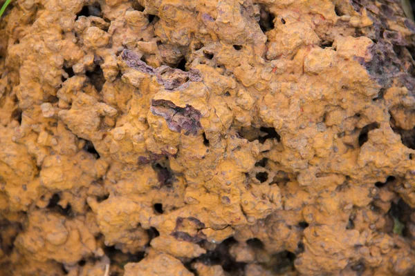 Fondo de piedra de laterita — Foto de Stock