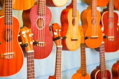 renkli gitar, arka plan için büyük