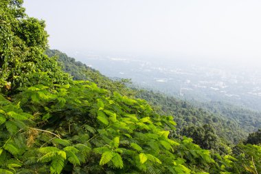 Chiang mai şehri, Tayland