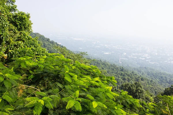 Chiang Mai cidade, Tailândia — Fotografia de Stock