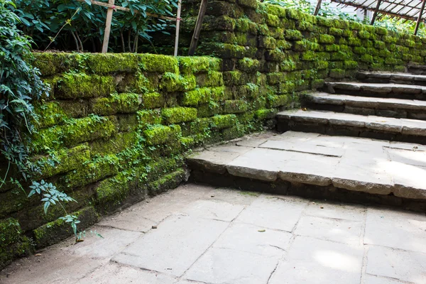 Walkway with Old mossy stone wall — Stock Photo, Image