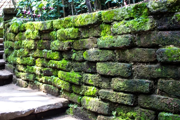 Wandelpad met oude mossy stenen muur — Stockfoto