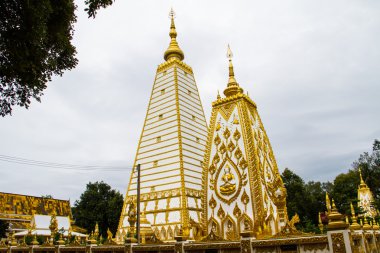 WAT Phrathat Nong Bua