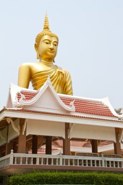 Altın buddha heykeli