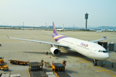 bir Havaalanı terminal bagaj arabaları.