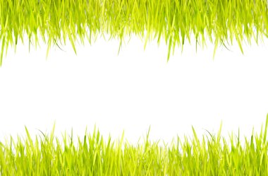 Beyaz arkaplanda yeşil çimen izole