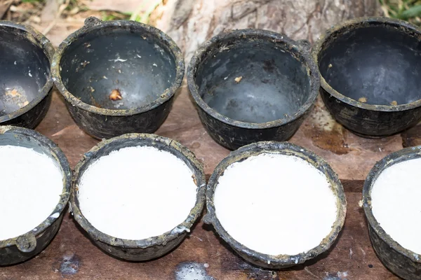 Kom om te verzamelen van melk van de rubberboom — Stockfoto