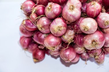 Beyaz arka plan üzerinde izole kırmızı soğancık