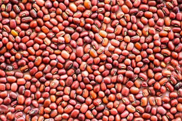 Red beans pattern as background — Stock Photo, Image