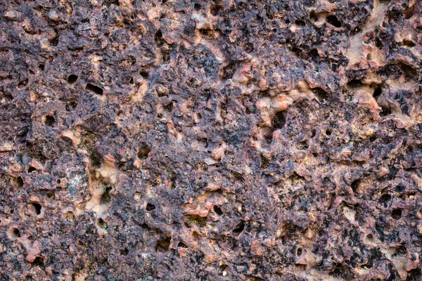 Laterite wall — Stock Photo, Image