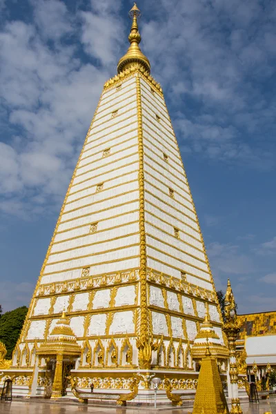 Thaise kunst, wat phrathat nong bua Italiaanse provincie ubon ratchathani, thailand — Stockfoto