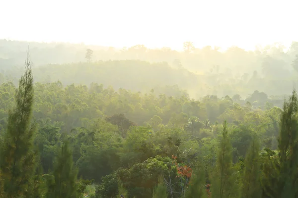 Pa hin ngam nationalpark — Stockfoto