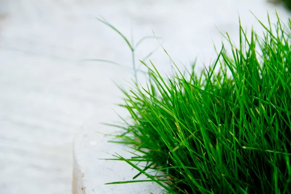 Taze yeşil çimenlerin arkaplanları Beyazlar üzerinde izole edilmiş — Stok fotoğraf